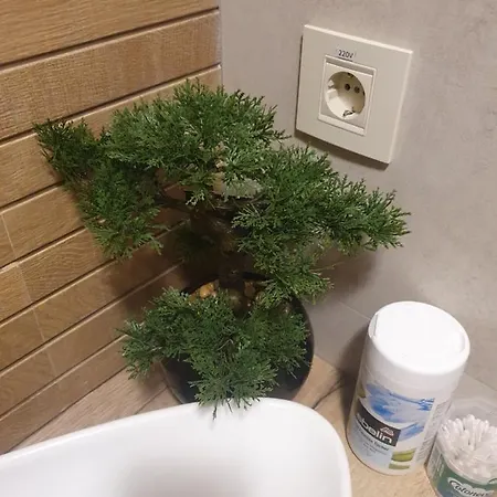 My * 贝尔格莱德